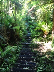 many many steep steps!