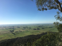Forest Hill lookout